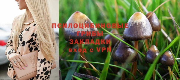 бутират Гусь-Хрустальный